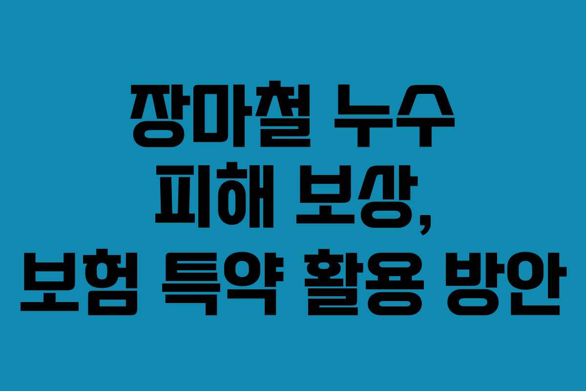 장마철 누수 피해 보상, 보험 특약 활용 방안