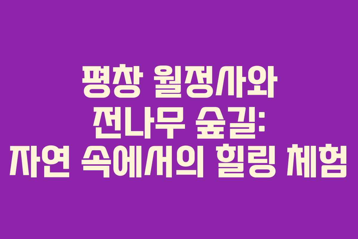 평창 월정사와 전나무 숲길: 자연 속에서의 힐링 체험