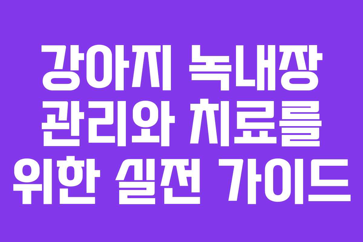 강아지 녹내장 관리와 치료를 위한 실전 가이드