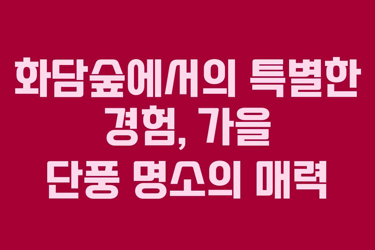 화담숲에서의 특별한 경험, 가을 단풍 명소의 매력