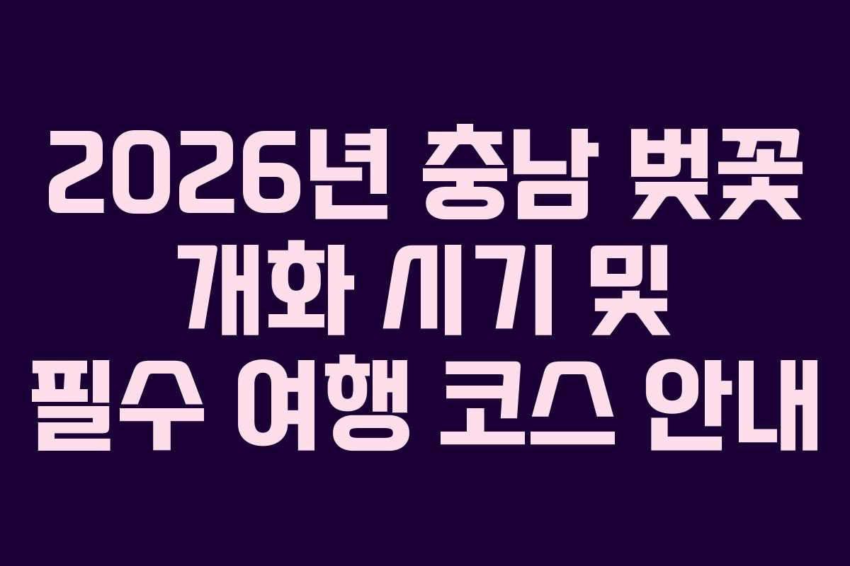 2026년 충남 벚꽃 개화 시기 및 필수 여행 코스 안내