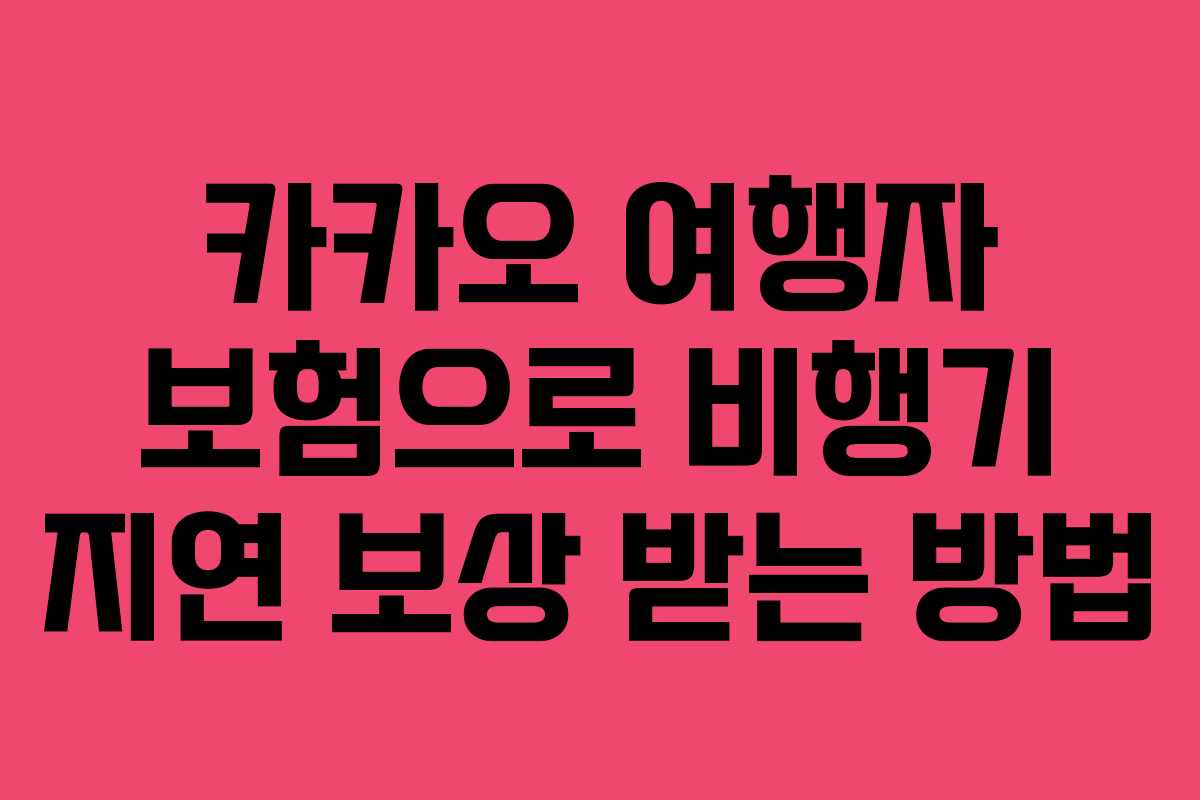 카카오 여행자 보험으로 비행기 지연 보상 받는 방법