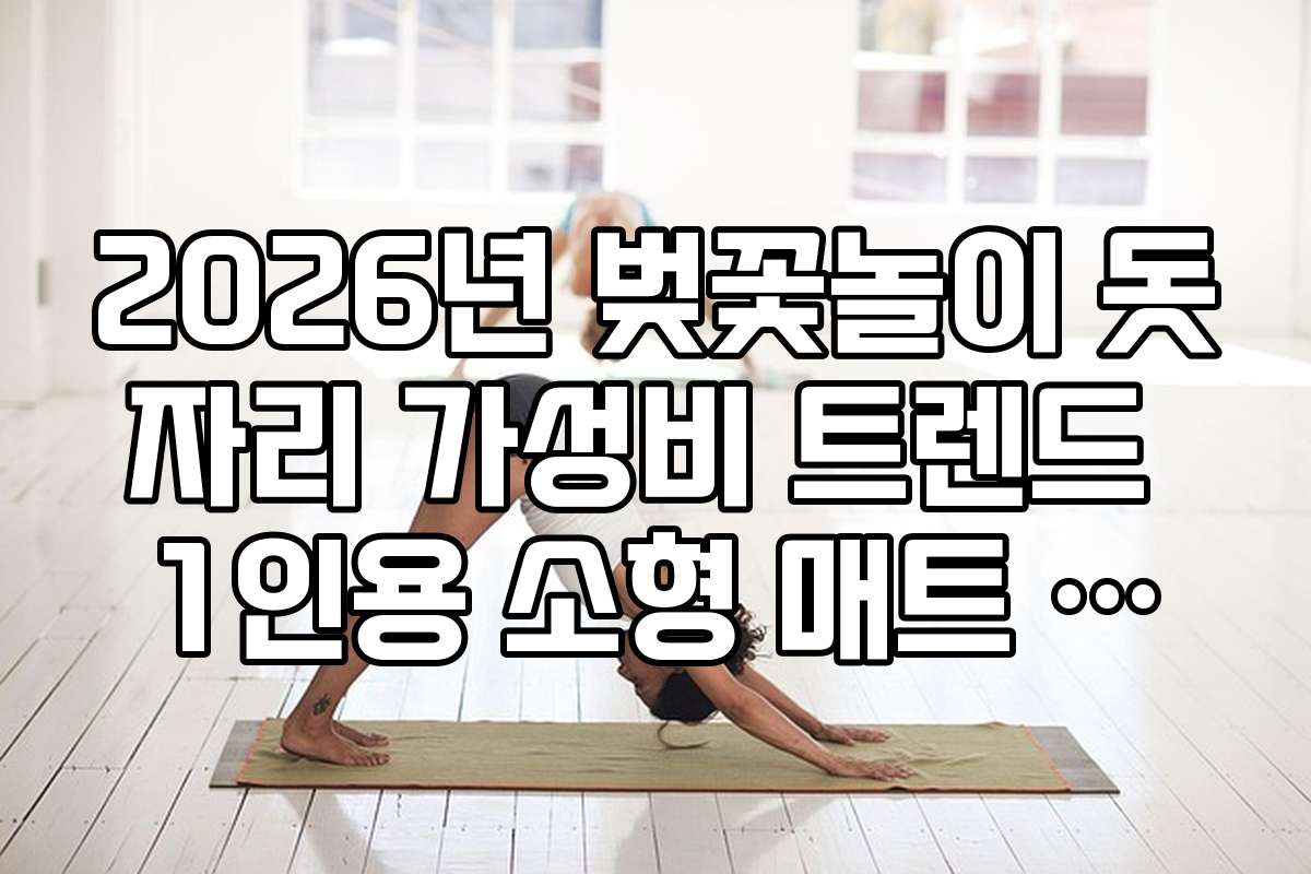2026년 벚꽃놀이 돗자리 가성비 트렌드 1인용 소형 매트 추천