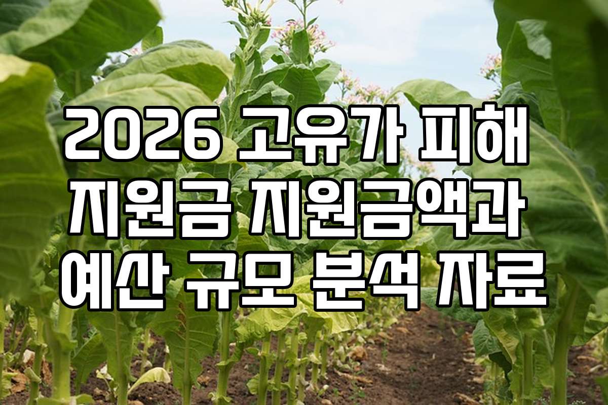 2026 고유가 피해 지원금 지원금액과 예산 규모 분석 자료