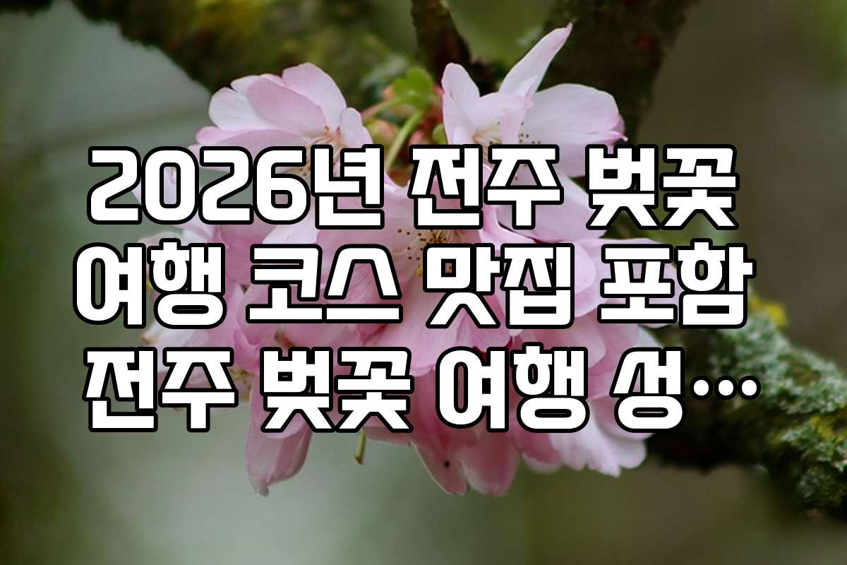 2026년 전주 벚꽃 여행 코스 맛집 포함 전주 벚꽃 여행 성공을 위한 팁