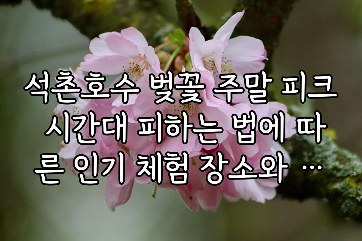 석촌호수 벚꽃 주말 피크 시간대 피하는 법에 따른 인기 체험 장소와 후기 모음