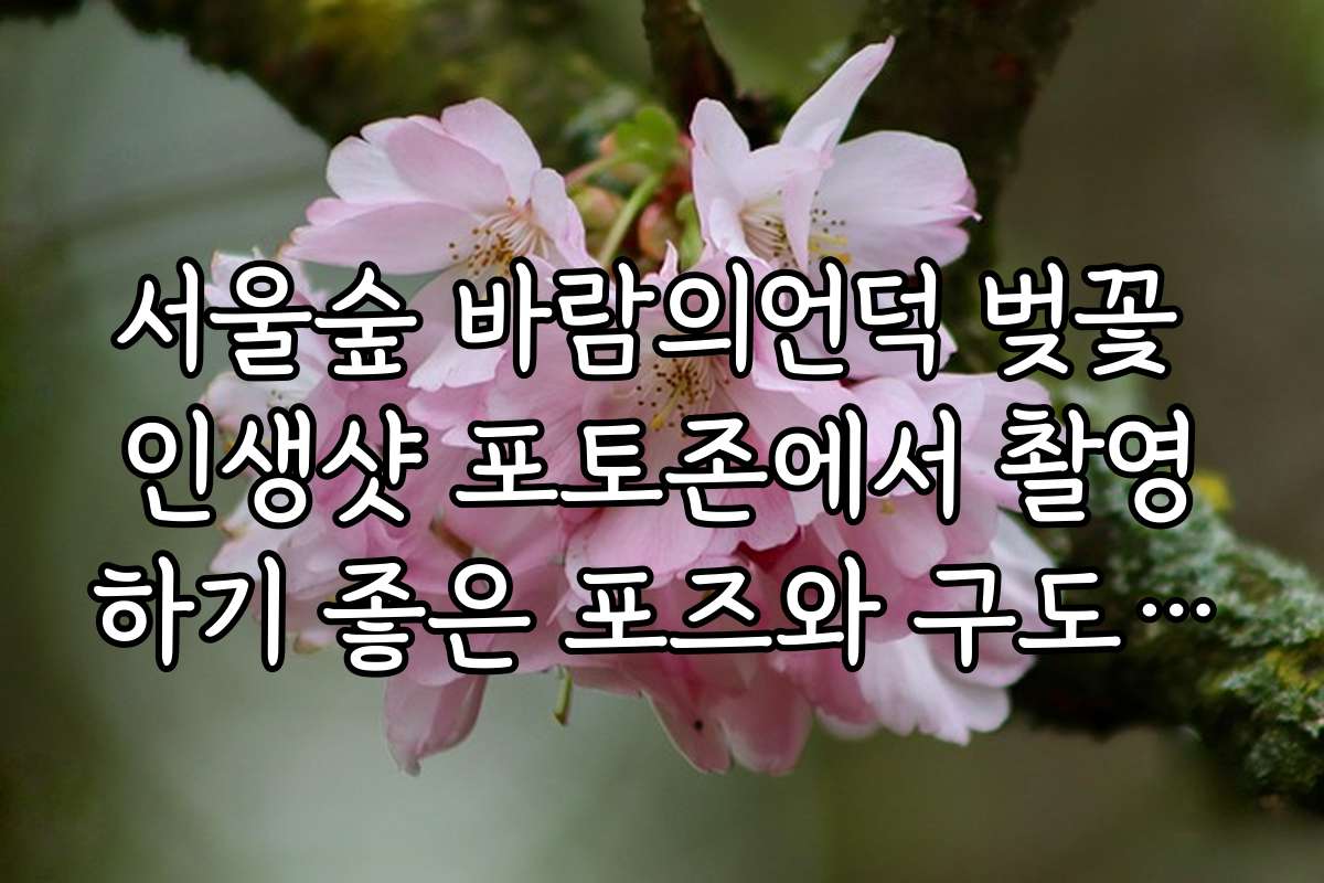 서울숲 바람의언덕 벚꽃 인생샷 포토존에서 촬영하기 좋은 포즈와 구도 아이디어 모음