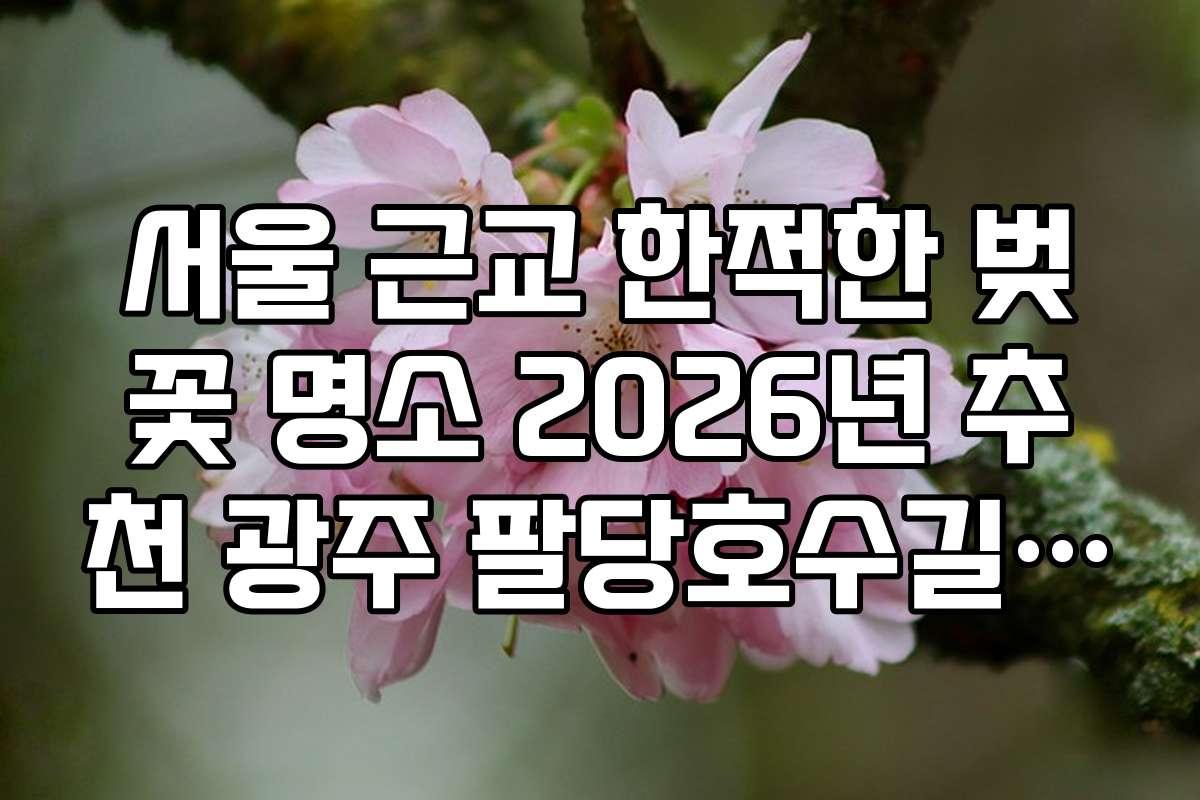 서울 근교 한적한 벚꽃 명소 2026년 추천 광주 팔당호수길 벚꽃