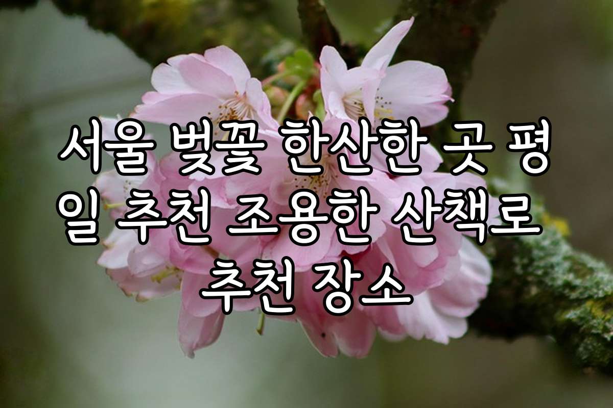 서울 벚꽃 한산한 곳 평일 추천 조용한 산책로 추천 장소