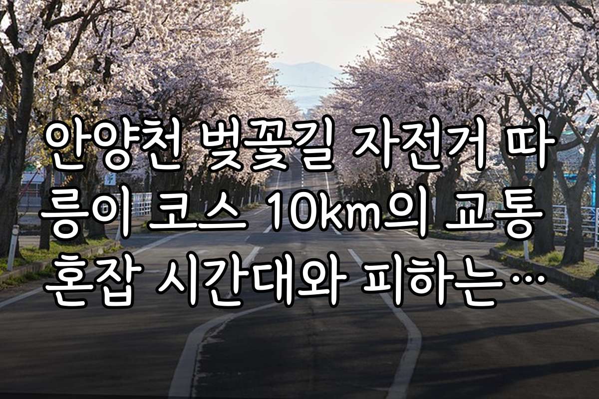 안양천 벚꽃길 자전거 따릉이 코스 10km의 교통 혼잡 시간대와 피하는 방법