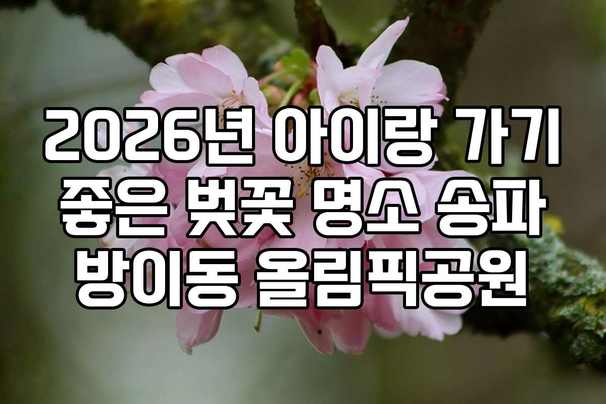 2026년 아이랑 가기 좋은 벚꽃 명소 송파 방이동 올림픽공원