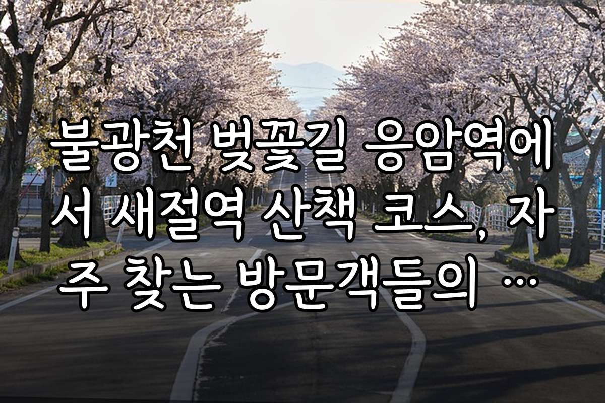 불광천 벚꽃길 응암역에서 새절역 산책 코스, 자주 찾는 방문객들의 생생한 후기와 추천