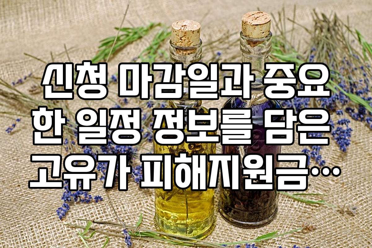신청 마감일과 중요한 일정 정보를 담은 고유가 피해지원금 대상 확인