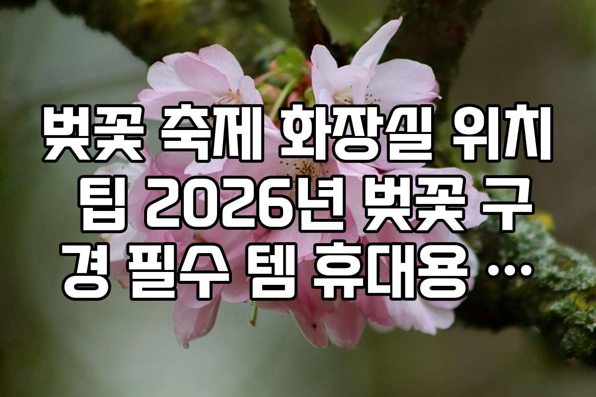 벚꽃 축제 화장실 위치 팁 2026년 벚꽃 구경 필수 템 휴대용 화장지 추천
