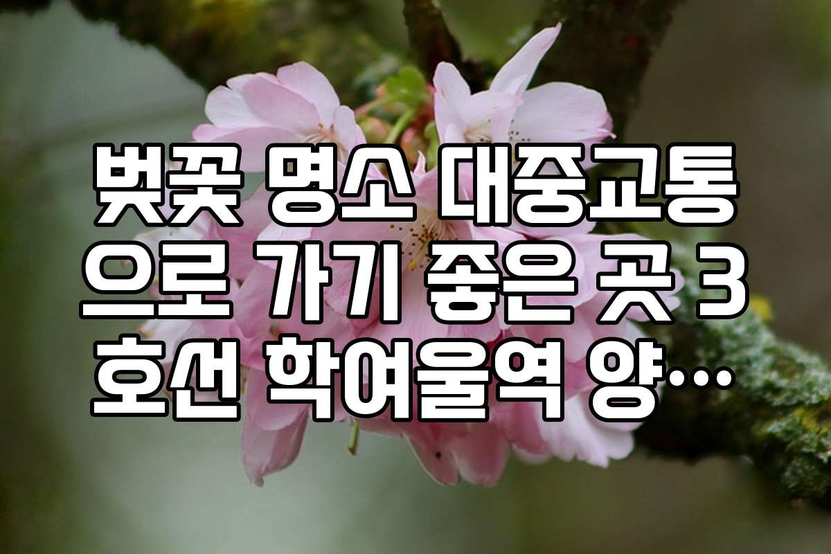 벚꽃 명소 대중교통으로 가기 좋은 곳 3호선 학여울역 양재천 구간