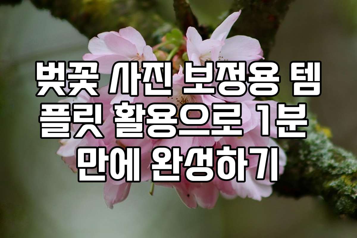 벚꽃 사진 보정용 템플릿 활용으로 1분 만에 완성하기