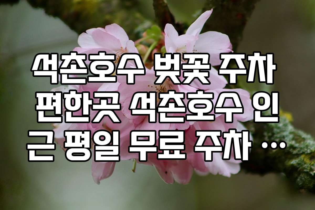 석촌호수 벚꽃 주차 편한곳 석촌호수 인근 평일 무료 주차 시간대