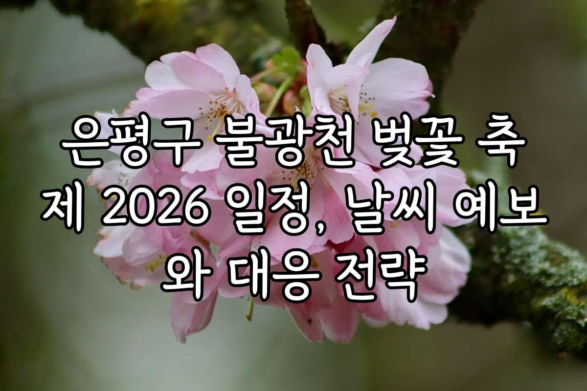 은평구 불광천 벚꽃 축제 2026 일정, 날씨 예보와 대응 전략