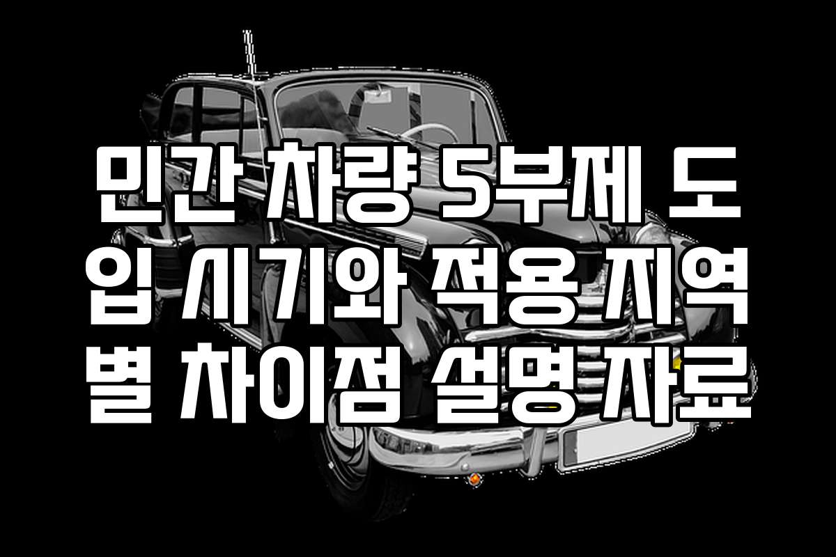민간 차량 5부제 도입 시기와 적용 지역별 차이점 설명 자료