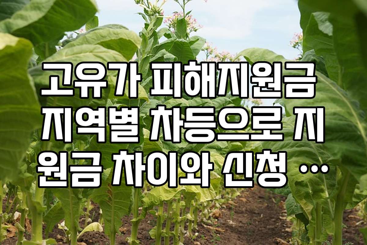 고유가 피해지원금 지역별 차등으로 지원금 차이와 신청 방법 알아보기