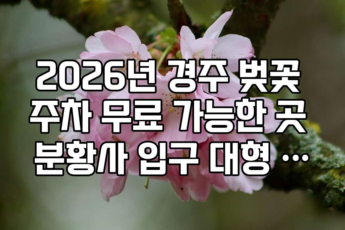 2026년 경주 벚꽃 주차 무료 가능한 곳 분황사 입구 대형 주차장