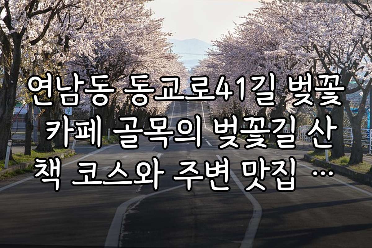 연남동 동교로41길 벚꽃 카페 골목의 벚꽃길 산책 코스와 주변 맛집 안내