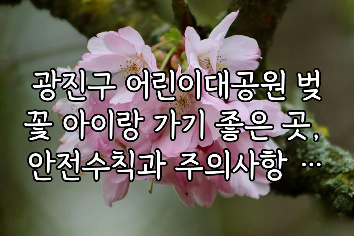 광진구 어린이대공원 벚꽃 아이랑 가기 좋은 곳, 안전수칙과 주의사항 정리