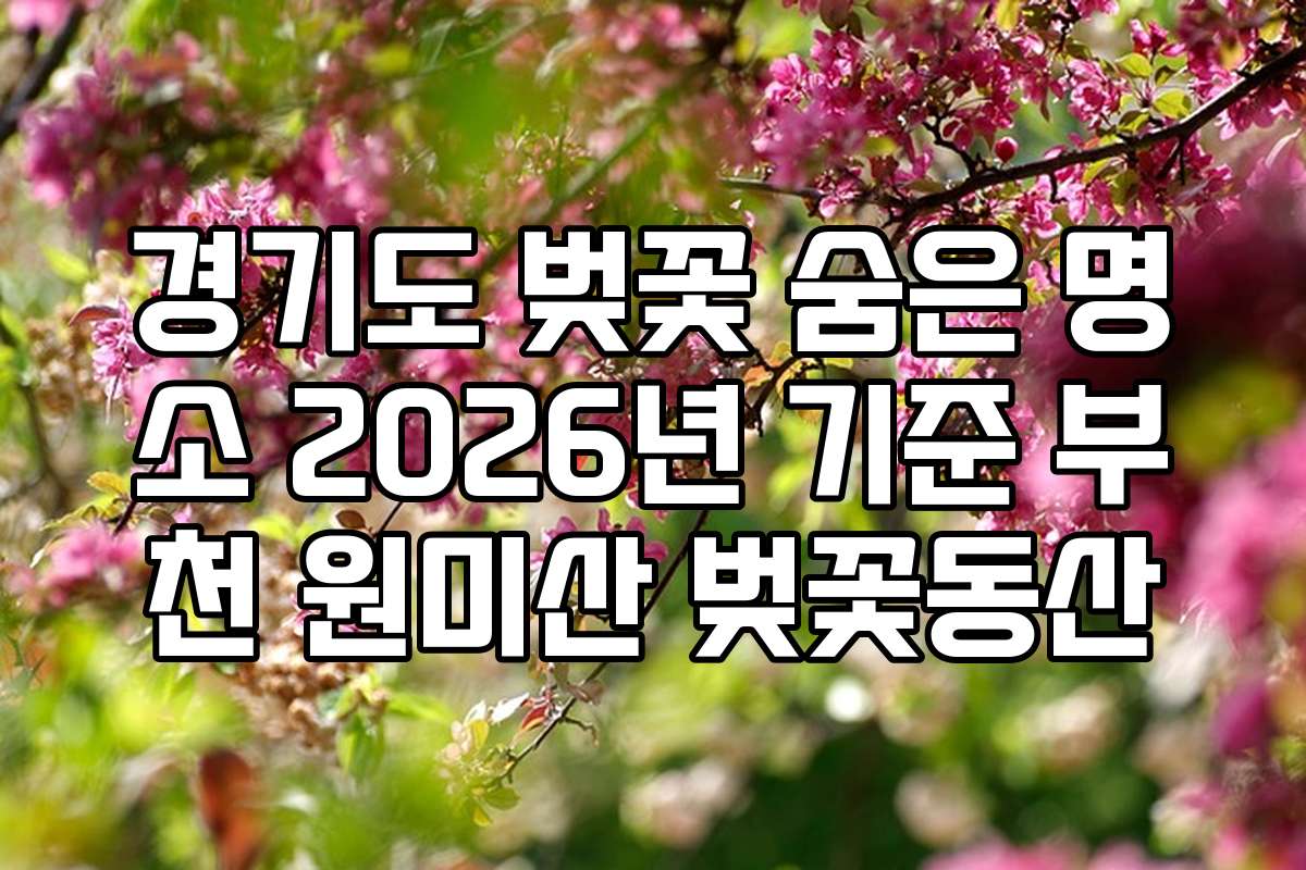 경기도 벚꽃 숨은 명소 2026년 기준 부천 원미산 벚꽃동산