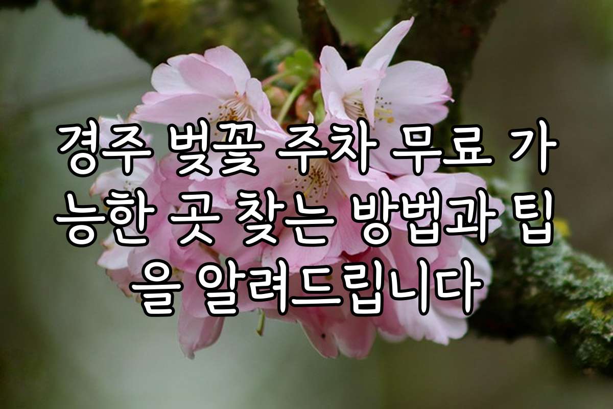 경주 벚꽃 주차 무료 가능한 곳 찾는 방법과 팁을 알려드립니다