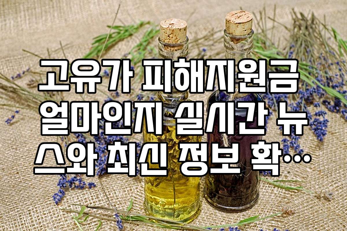 고유가 피해지원금 얼마인지 실시간 뉴스와 최신 정보 확인하는 방법