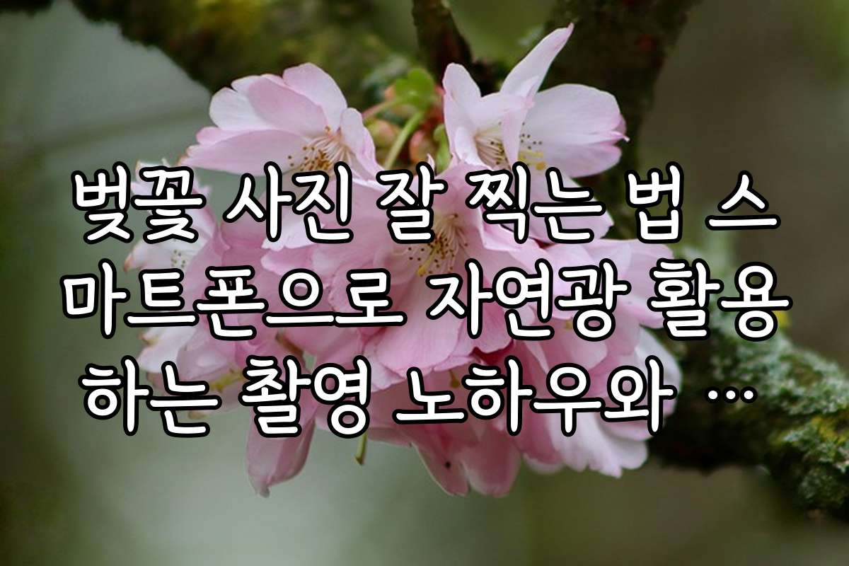 벚꽃 사진 잘 찍는 법 스마트폰으로 자연광 활용하는 촬영 노하우와 꿀팁