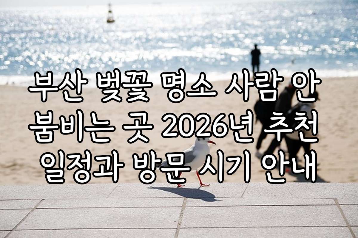 부산 벚꽃 명소 사람 안 붐비는 곳 2026년 추천 일정과 방문 시기 안내