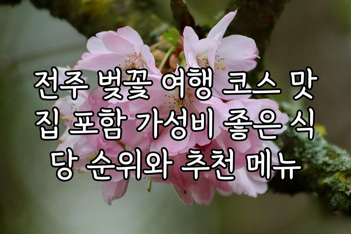 전주 벚꽃 여행 코스 맛집 포함 가성비 좋은 식당 순위와 추천 메뉴