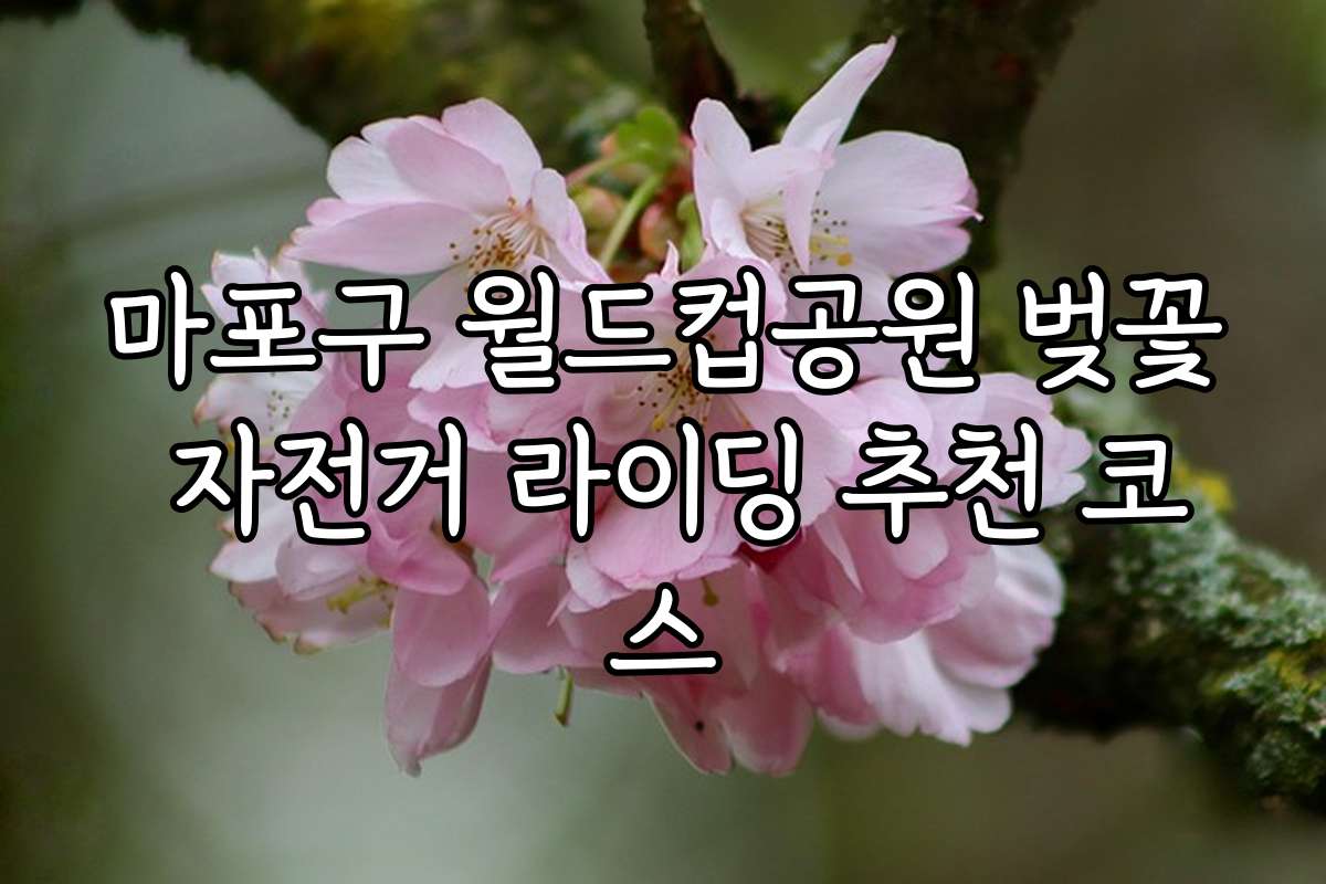 마포구 월드컵공원 벚꽃 자전거 라이딩 추천 코스