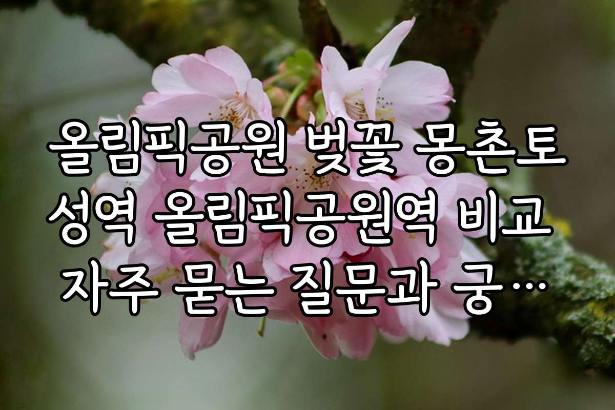 올림픽공원 벚꽃 몽촌토성역 올림픽공원역 비교 자주 묻는 질문과 궁금증 해소