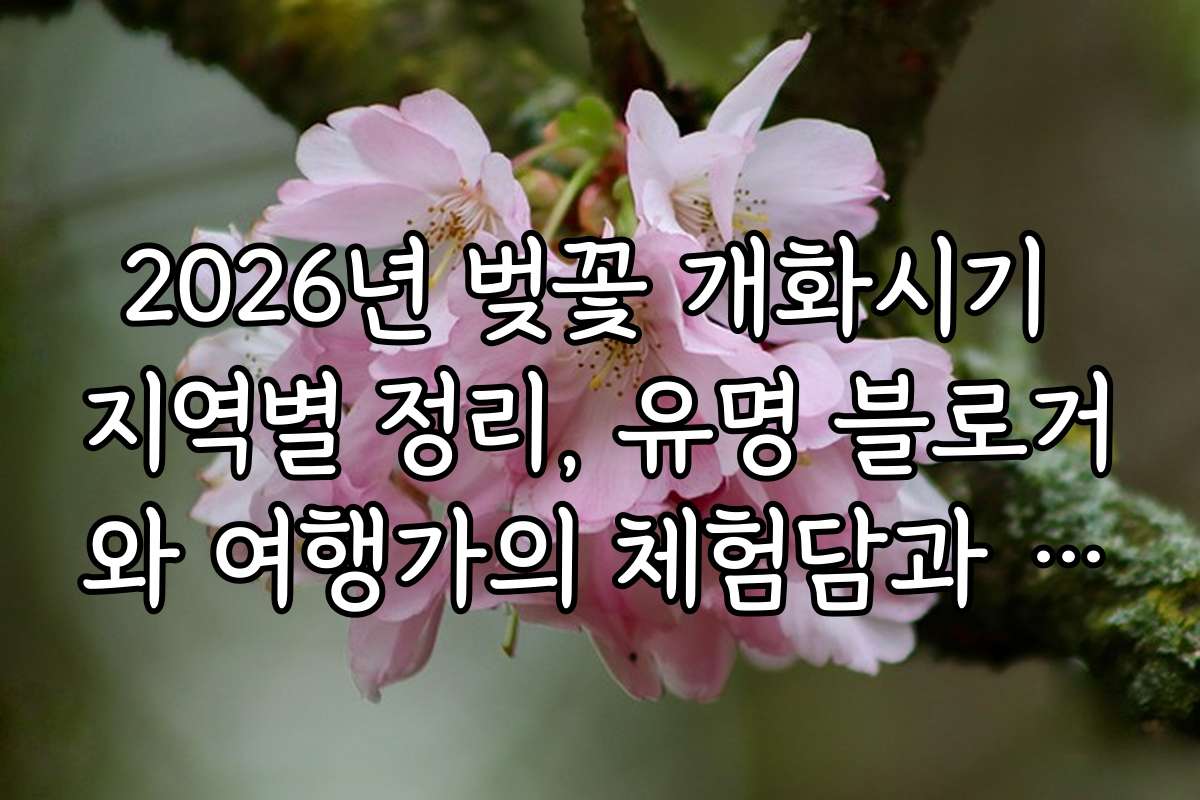 2026년 벚꽃 개화시기 지역별 정리, 유명 블로거와 여행가의 체험담과 후기 소개