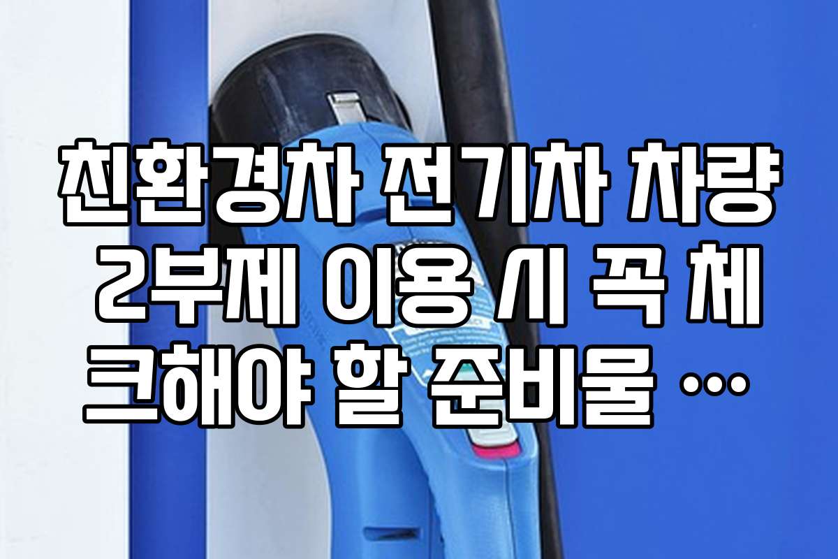 친환경차 전기차 차량 2부제 이용 시 꼭 체크해야 할 준비물 리스트를 제공한다