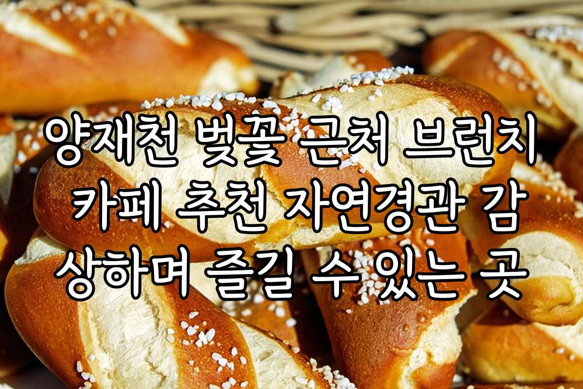 양재천 벚꽃 근처 브런치 카페 추천 자연경관 감상하며 즐길 수 있는 곳