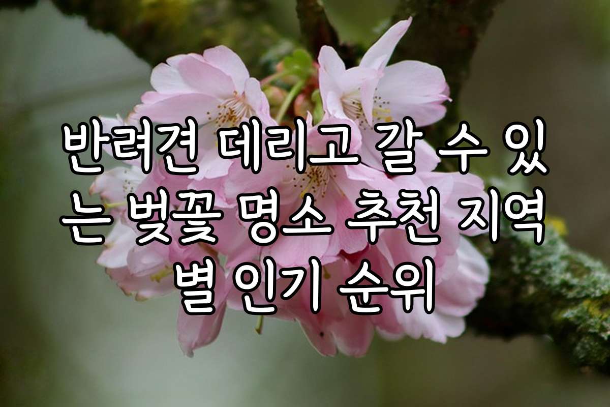 반려견 데리고 갈 수 있는 벚꽃 명소 추천 지역별 인기 순위