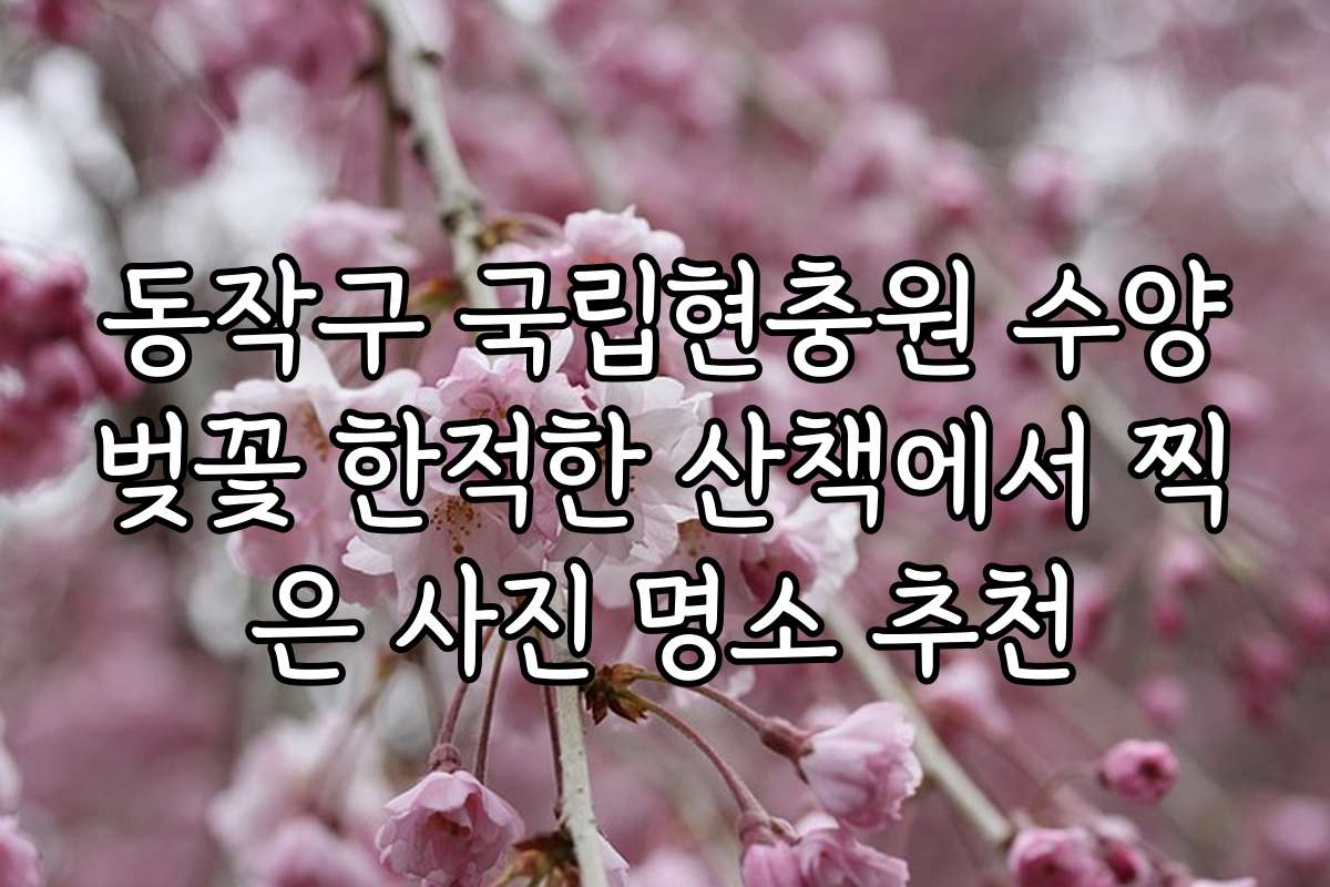 동작구 국립현충원 수양벚꽃 한적한 산책에서 찍은 사진 명소 추천