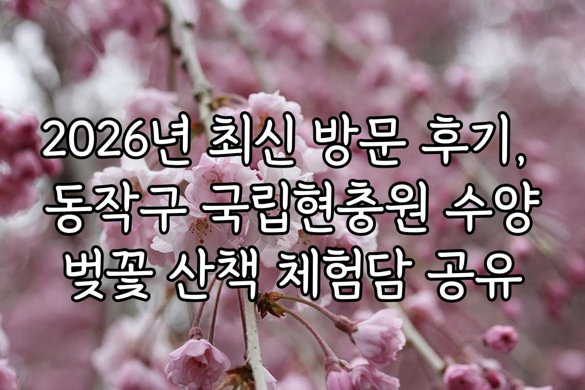 2026년 최신 방문 후기, 동작구 국립현충원 수양벚꽃 산책 체험담 공유