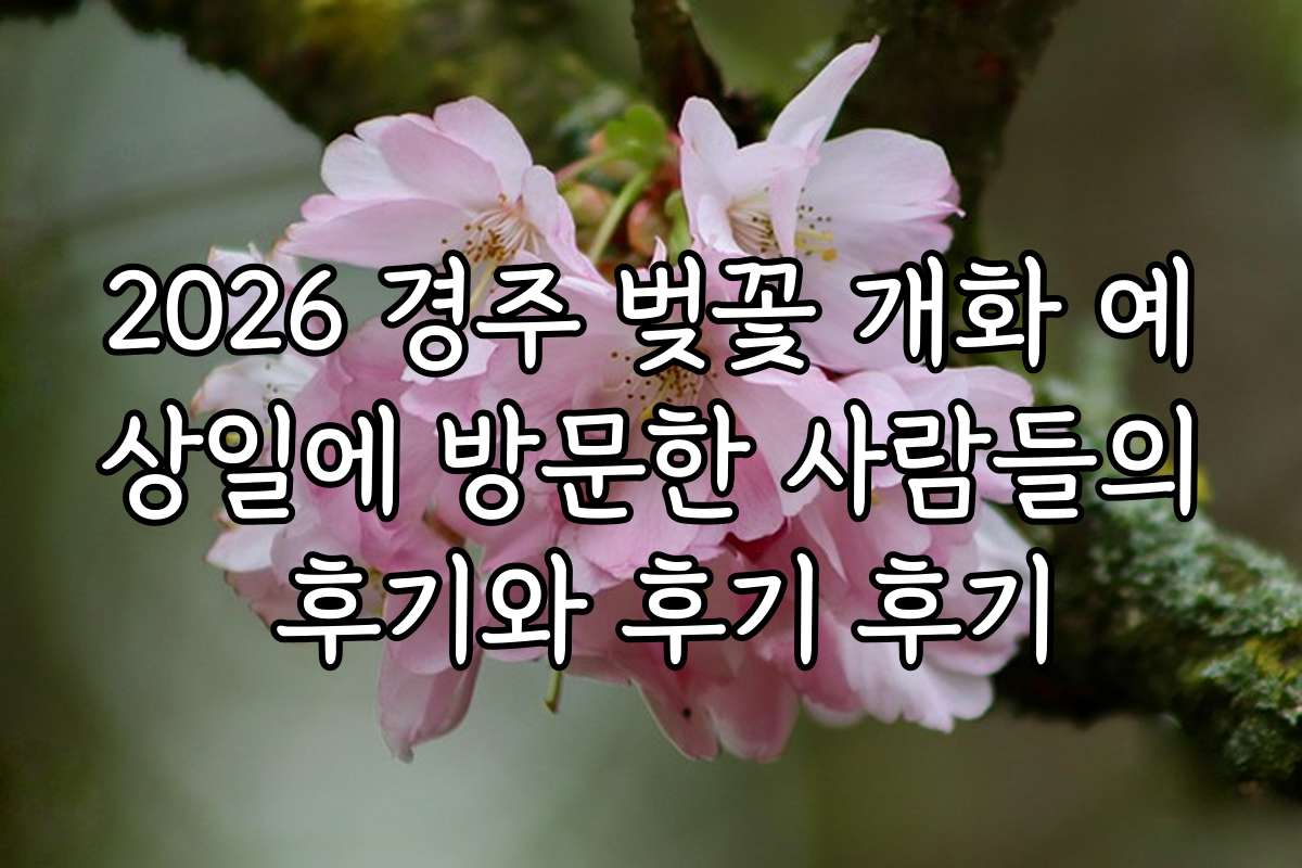 2026 경주 벚꽃 개화 예상일에 방문한 사람들의 후기와 후기 후기