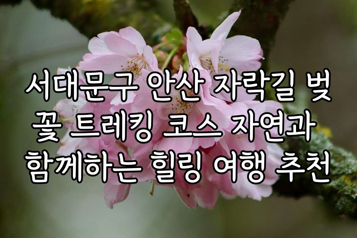 서대문구 안산 자락길 벚꽃 트레킹 코스 자연과 함께하는 힐링 여행 추천
