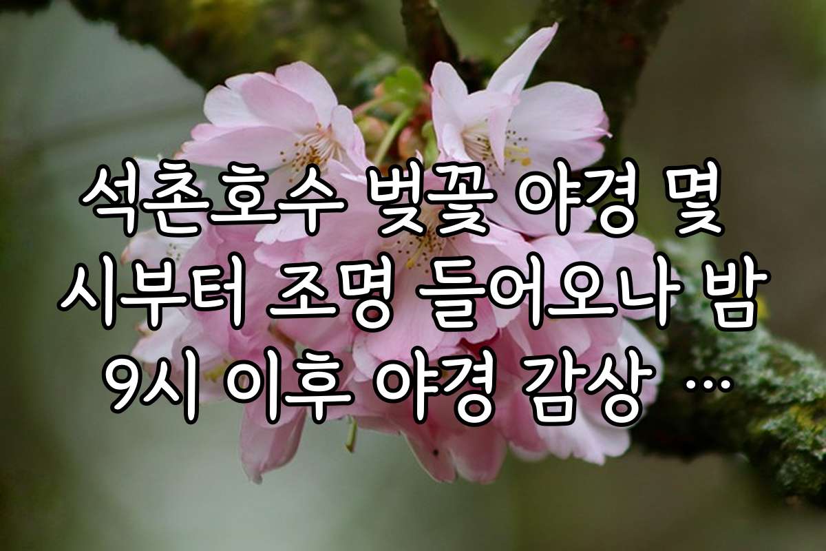 석촌호수 벚꽃 야경 몇 시부터 조명 들어오나 밤 9시 이후 야경 감상 추천 시간과 조명 상태