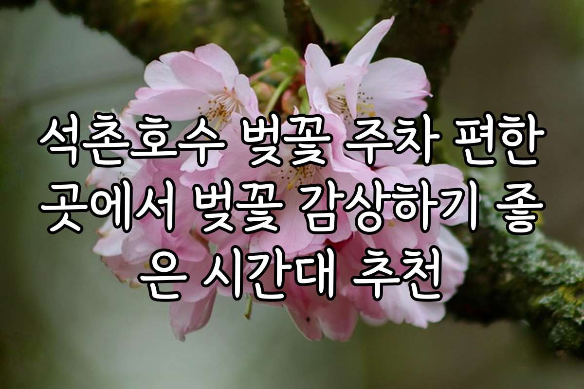 석촌호수 벚꽃 주차 편한곳에서 벚꽃 감상하기 좋은 시간대 추천