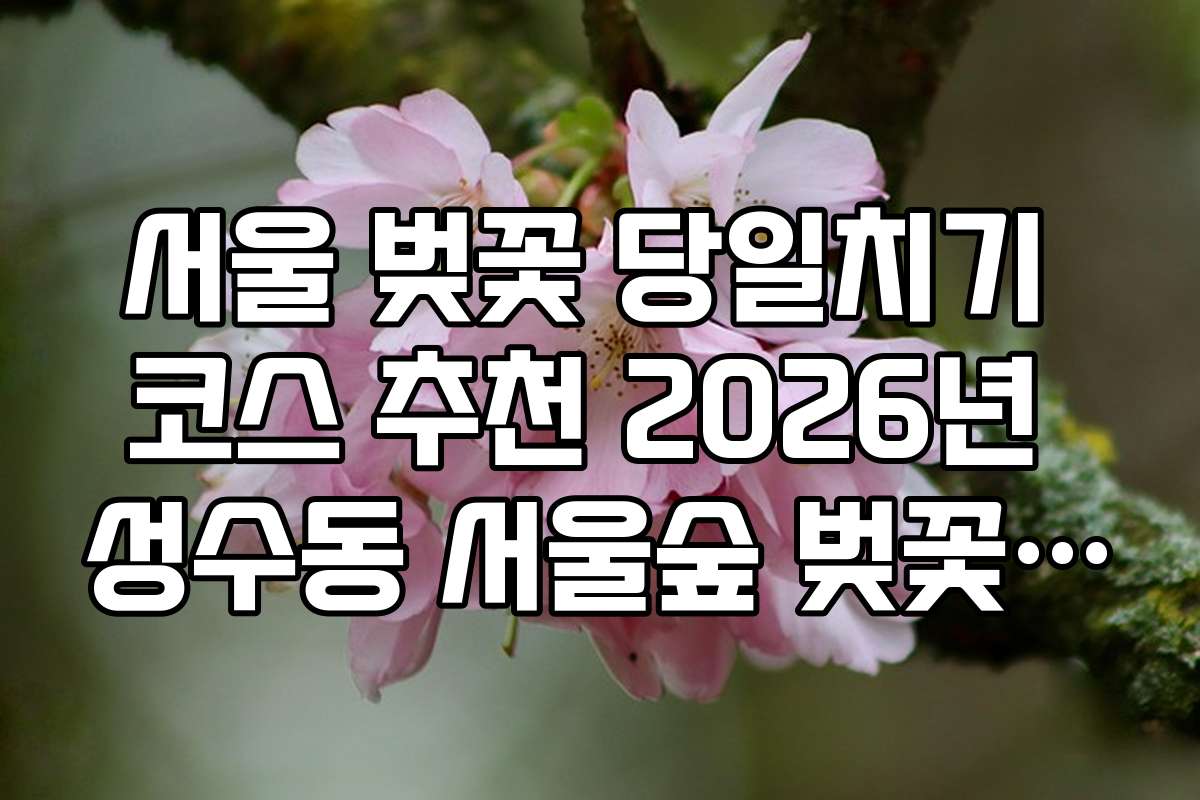 서울 벚꽃 당일치기 코스 추천 2026년 성수동 서울숲 벚꽃 명당 사진 포인트