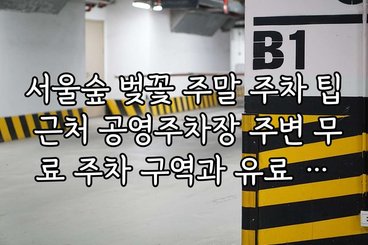 서울숲 벚꽃 주말 주차 팁 근처 공영주차장 주변 무료 주차 구역과 유료 주차장 차이