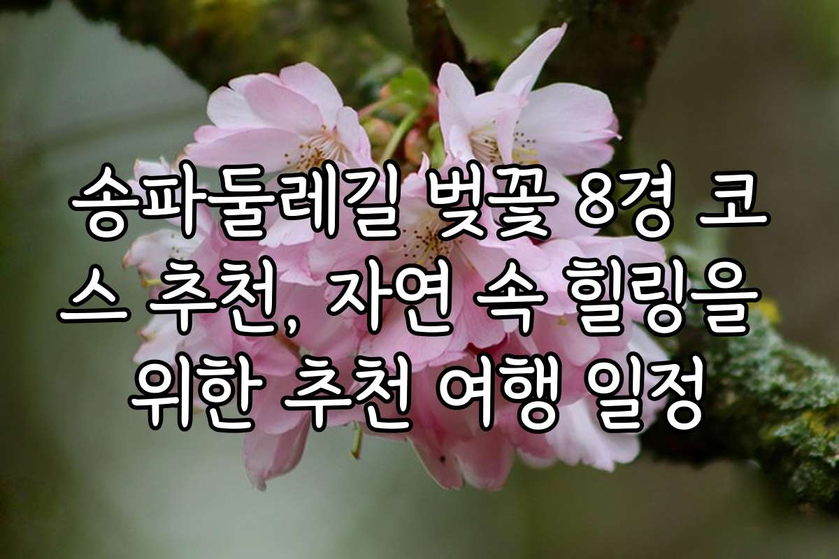 송파둘레길 벚꽃 8경 코스 추천, 자연 속 힐링을 위한 추천 여행 일정