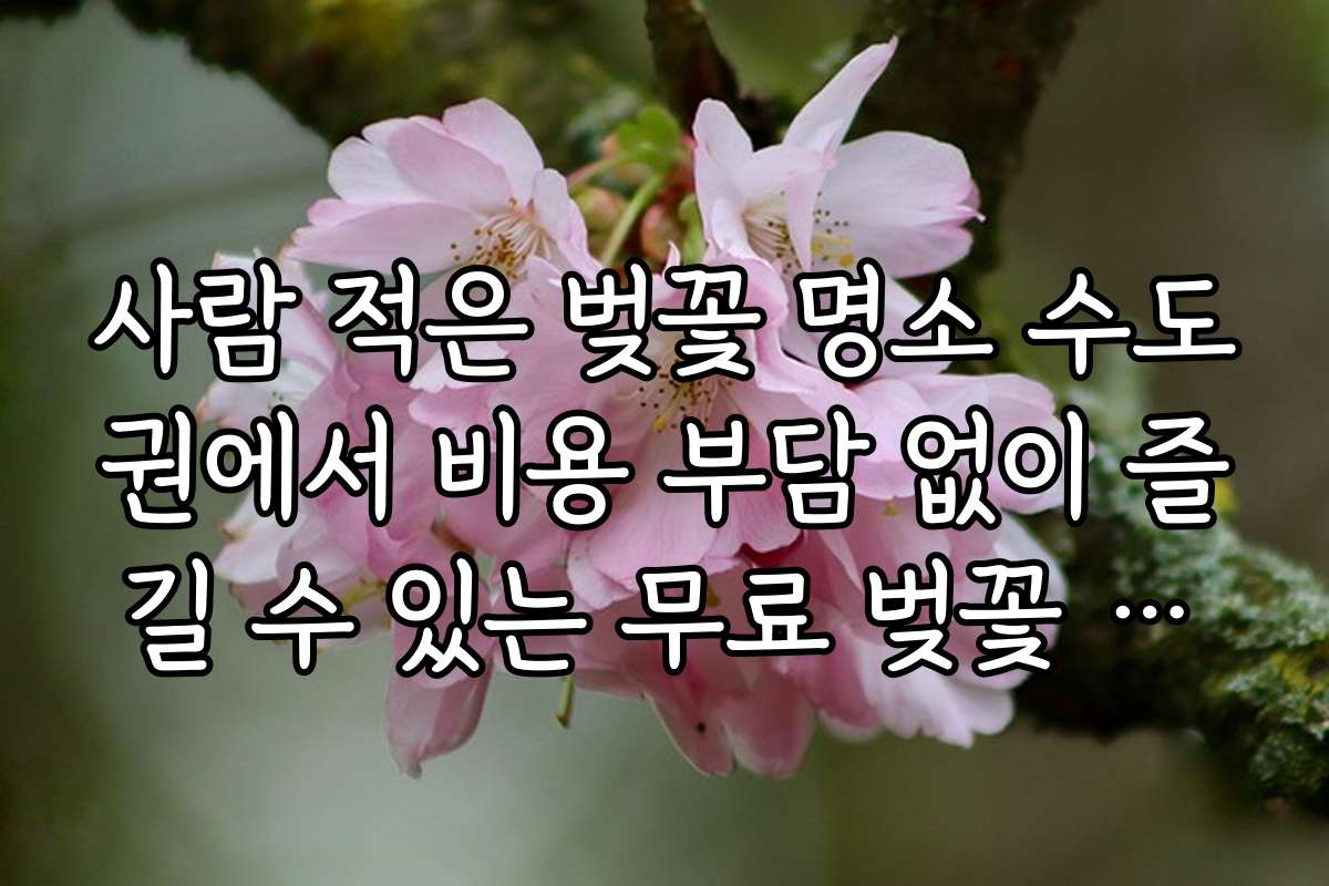 사람 적은 벚꽃 명소 수도권에서 비용 부담 없이 즐길 수 있는 무료 벚꽃 명소를 소개합니다