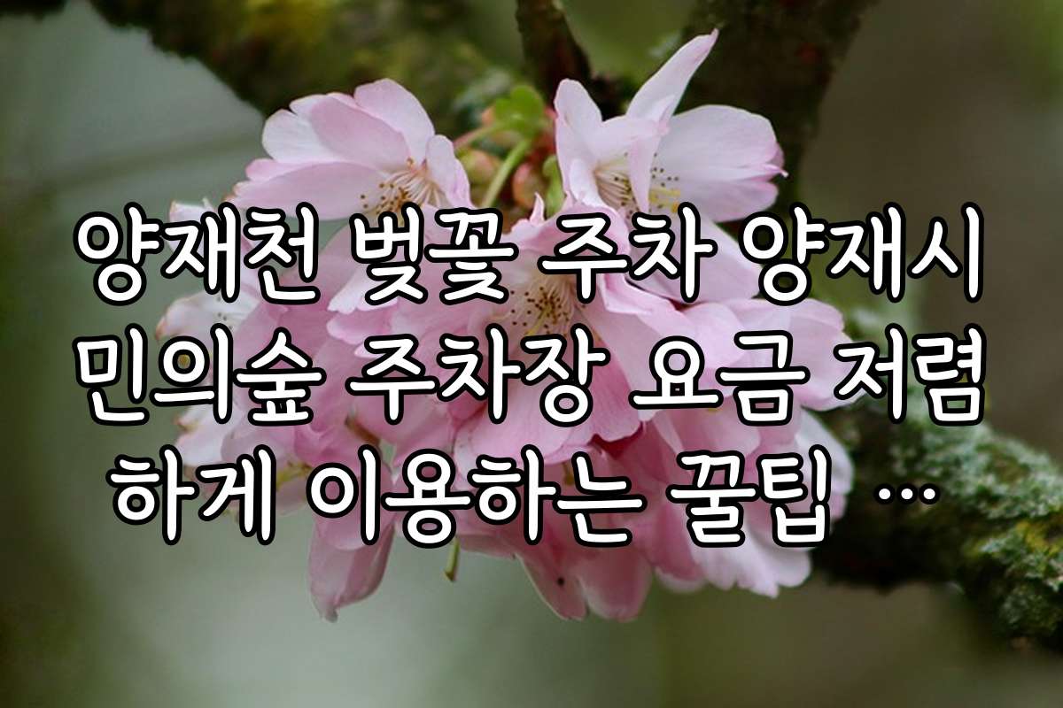 양재천 벚꽃 주차 양재시민의숲 주차장 요금 저렴하게 이용하는 꿀팁 공개